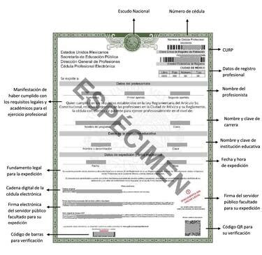 SEP | Cómo descargar tu cédula profesional gratis en PDF