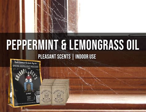 Buy Grandpa Gus's Spider Repellent Pouches, Peppermint and Lemongrass ...