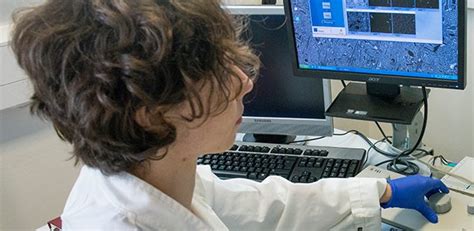 Image result for Open Computer Researching