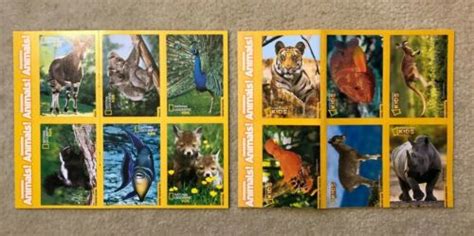 Buy 2013-2014 National Geographic Kids Awesome Animals COLLECTIBLE ...