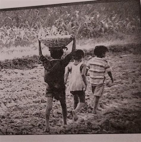 Picture Perception Carefully observe the given picture. It indicates ...