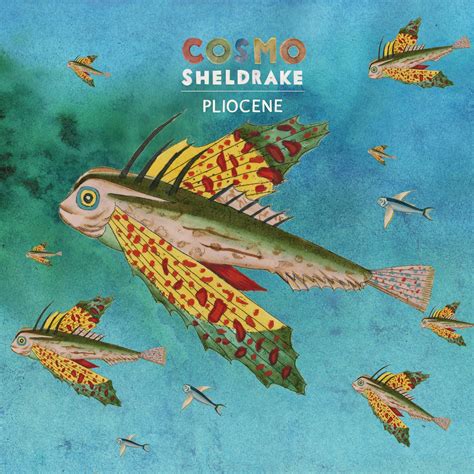 Image result for Cosmo Sheldrake Instruments