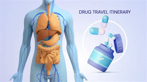 Drug Absorption Pharmacokinetics