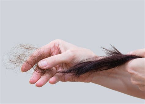 Fight Hair fall | Love Beauty and Planet