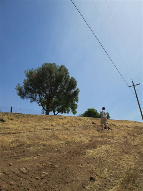 Hole 3 • South course / Lake Amador Resort (Ione, CA) | Disc Golf ...