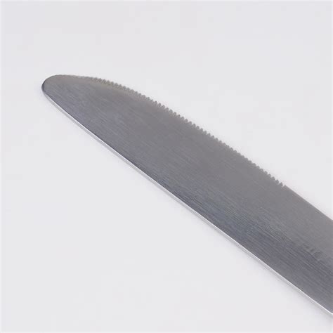 Buy Glister Elke Set of 2 Stainless Steel Dinner Knives from Home ...