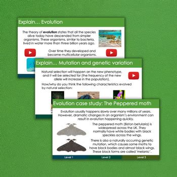 Image result for Freesciencelessons Evolution