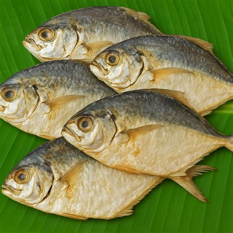 Tooth pony (பெரியகாரல்) – Thoothukudi Karuvaadu Kadai