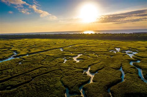 New exhibit at Ocala International Airport showcases Florida’s natural ...