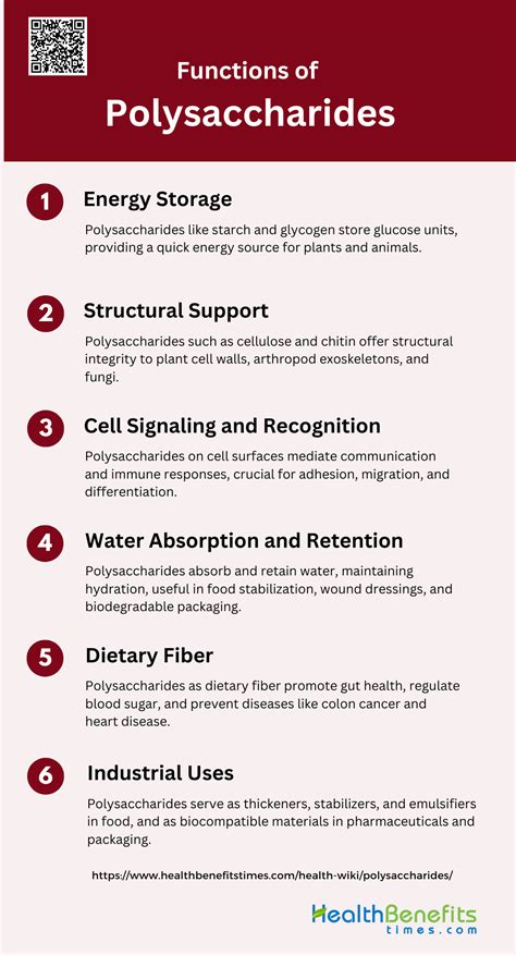 What is Polysaccharides: Characteristics, Types, and Functions - Health ...