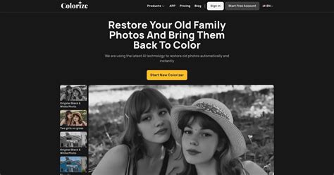 Image Colorizer Tool Logo 的图像结果