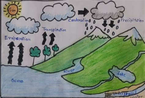 Best 13 Water Cycle Drawing | Simple water Cycle drawing | Easy Water ...