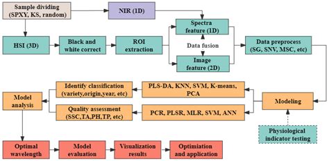 Application of Near-Infrared Spectroscopy and Hyperspectral Imaging ...