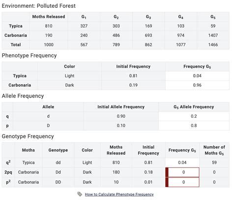 Solved Calculate phenotype frequencies in 5th generation. | Chegg.com