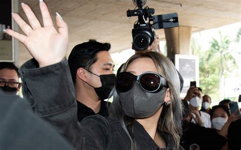 Class Timer Countdown Tiger 的图像结果