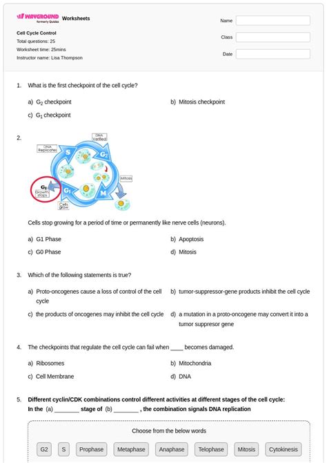 50+ Controls and Variables worksheets for Class 10 on Wayground | Free ...