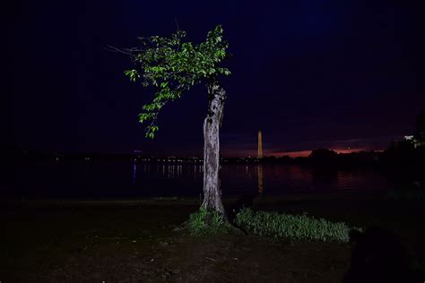 Image result for Rank & Stumpy