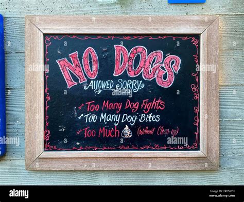No Dogs Allowed sign Stock Photo - Alamy