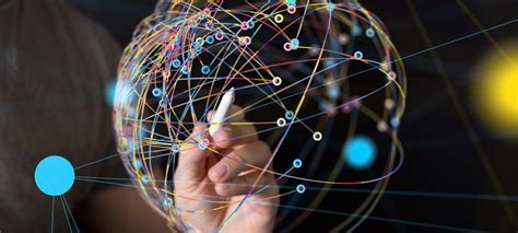 Data Extraction Tutorial 的图像结果