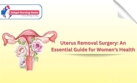 Uterus Removal Surgery: An Essential Guide For Womens Health