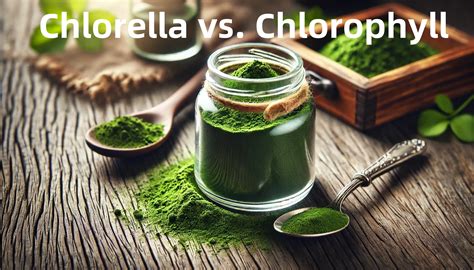 Chlorella vs. Clorofila: ¿Es la clorella lo mismo que la clorofila??