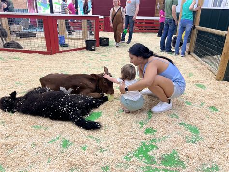 Debbie Dolittle's - Indoor Petting Zoo