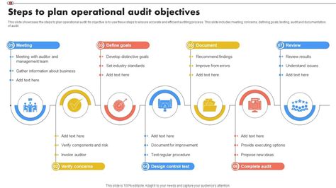 Audit Plan Objectives 的图像结果