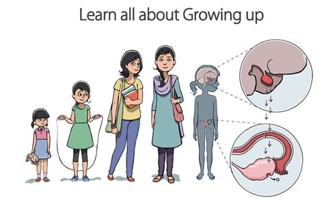 Menstrupedia Comic: The Friendly Guide To Periods For Girls