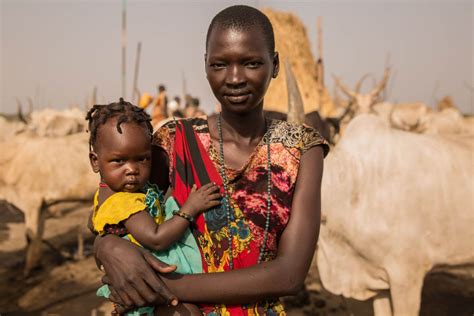Cows and classes: Aid agencies are opening schools in South Sudan's ...