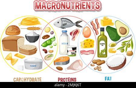 Image result for Macronutrients Basic Structure