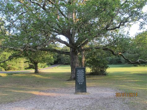 Minstead Tourism (2022): Best of Minstead, England - Tripadvisor