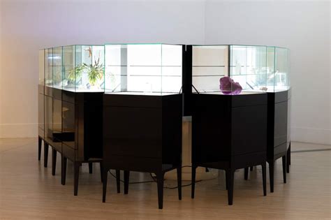 BioMess 的图像结果