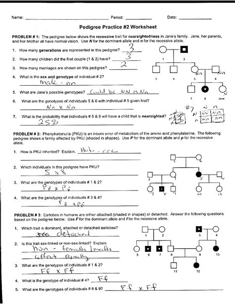 Worksheet Pedigree Practice with Answer Key | Exercises Genetics ...