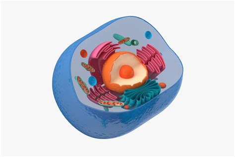 Cell Structure Map 的图像结果