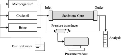 Pilot experiment Purpose 的图像结果