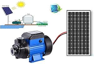 RIPS TECHNOLOGY [RIPS RIYA] Solar Surface Water Pump Monoblock DC (Blue ...