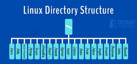 Image result for Linux Directory Structure