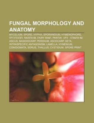 Fungal Morphology and Anatomy: Buy Fungal Morphology and Anatomy by ...