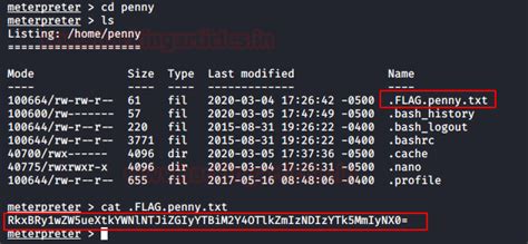 TBBT: FunWithFlags: Vulnhub Walkthrough - Hacking Articles