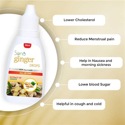 Sona Ginger Drop for Better Digestion - 20 ml (Pack of 2) – SonaHealthCare