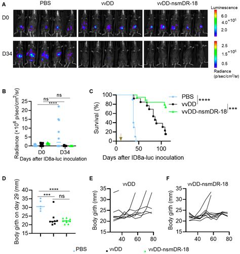 Non-Secreted Mature Decoy-Resistant IL-18-Armed Oncolytic Vaccinia ...
