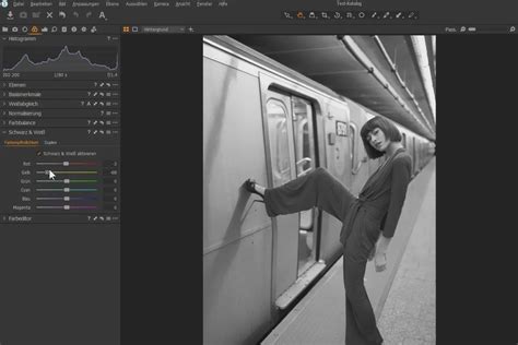 Image result for Capture One Pro 7 Tutorial