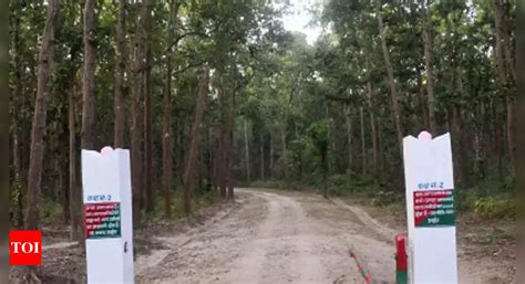 Performance Of Vtr Falls To ‘good’ Category | Patna News - Times of India