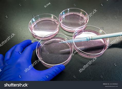 Cell Culture Technique Material at Danielle Nugent blog