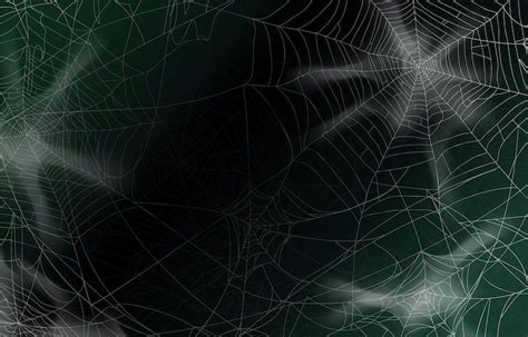 Spider web closeup shots Vectors - Download Free High-Quality Vectors ...