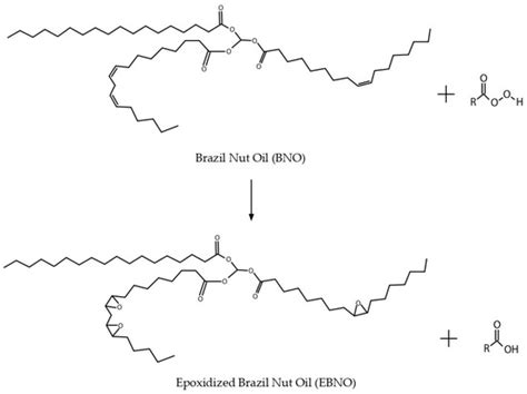 Novel Epoxidized Brazil Nut Oil as a Promising Plasticizing Agent for PLA