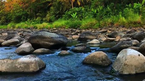 Image result for Water Stream Relaxation