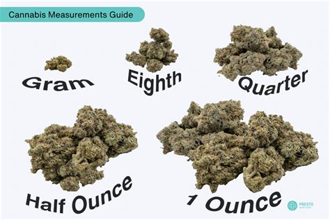 Weed Measurements: A Guide to Cannabis Weights and Quantities ...