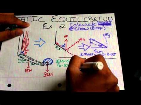 Static Equilibrium Tutorials 的图像结果