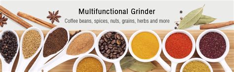 Buy Dwiza Enterprise Stainless Steel Nima Multipurpose Grinder Smash ...